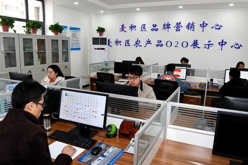 天水市麦积区电子商务公共服务中心揭牌运营，助力个人商务发展